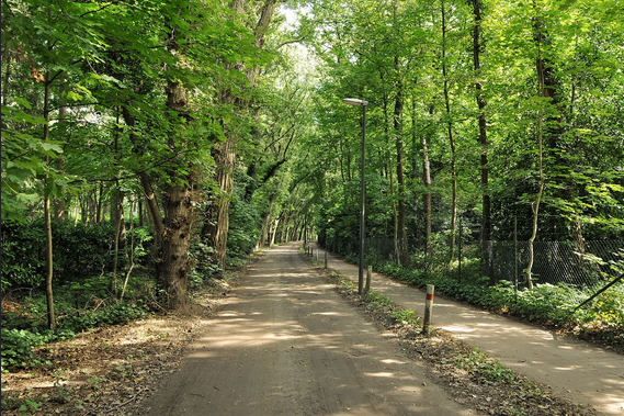 De Jagerboschlaan is een natuurlijke en veilige route voor wandelaars en fietsers